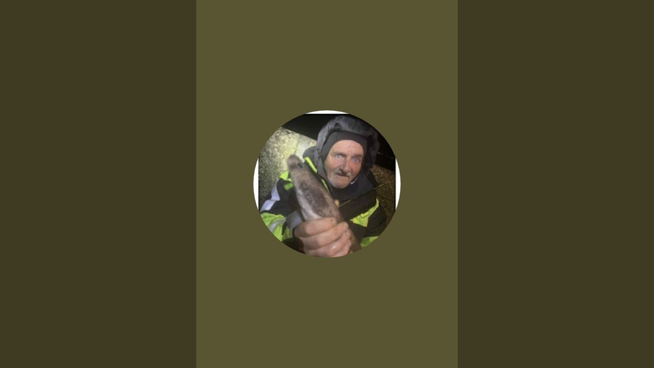 Yardpork  is live