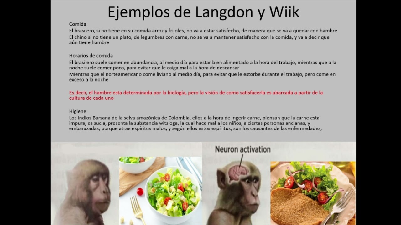 Langdon y wiik Antropología, salud y enfermedad (Resumen/analisis) (unlam) (Medicina Matanza)