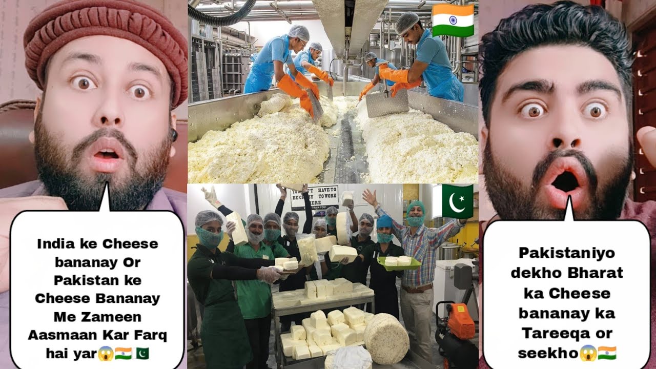 India Cheese Making Process Vs Pakistan Cheese Making Process 
