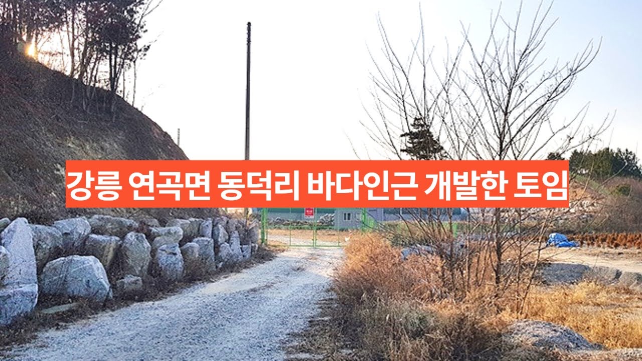 강릉시 연곡면 동덕리 바다안근 개발한 토임 리더스공인중개사033-642-2830
