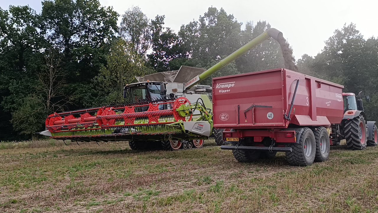 Sklizeň máku🌾🚜