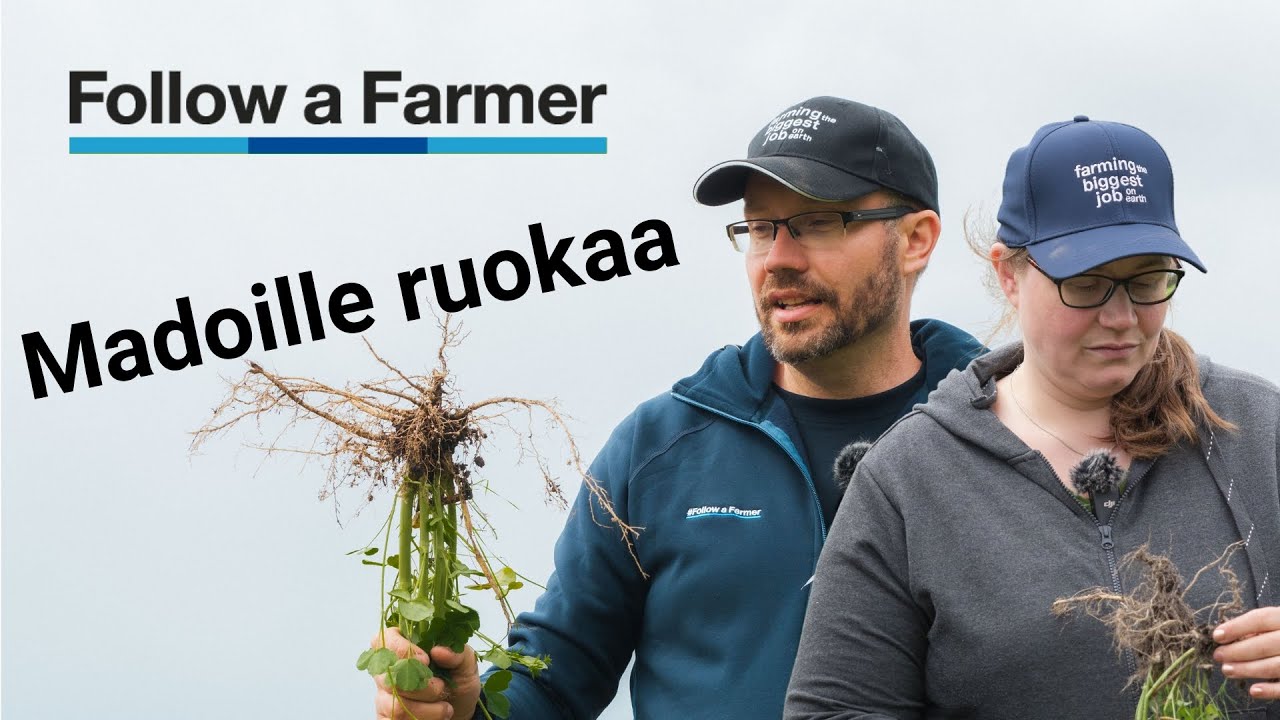 Maan juurihoitoa - Follow a Farmer, Aila-Korpelan tila S3:E5
