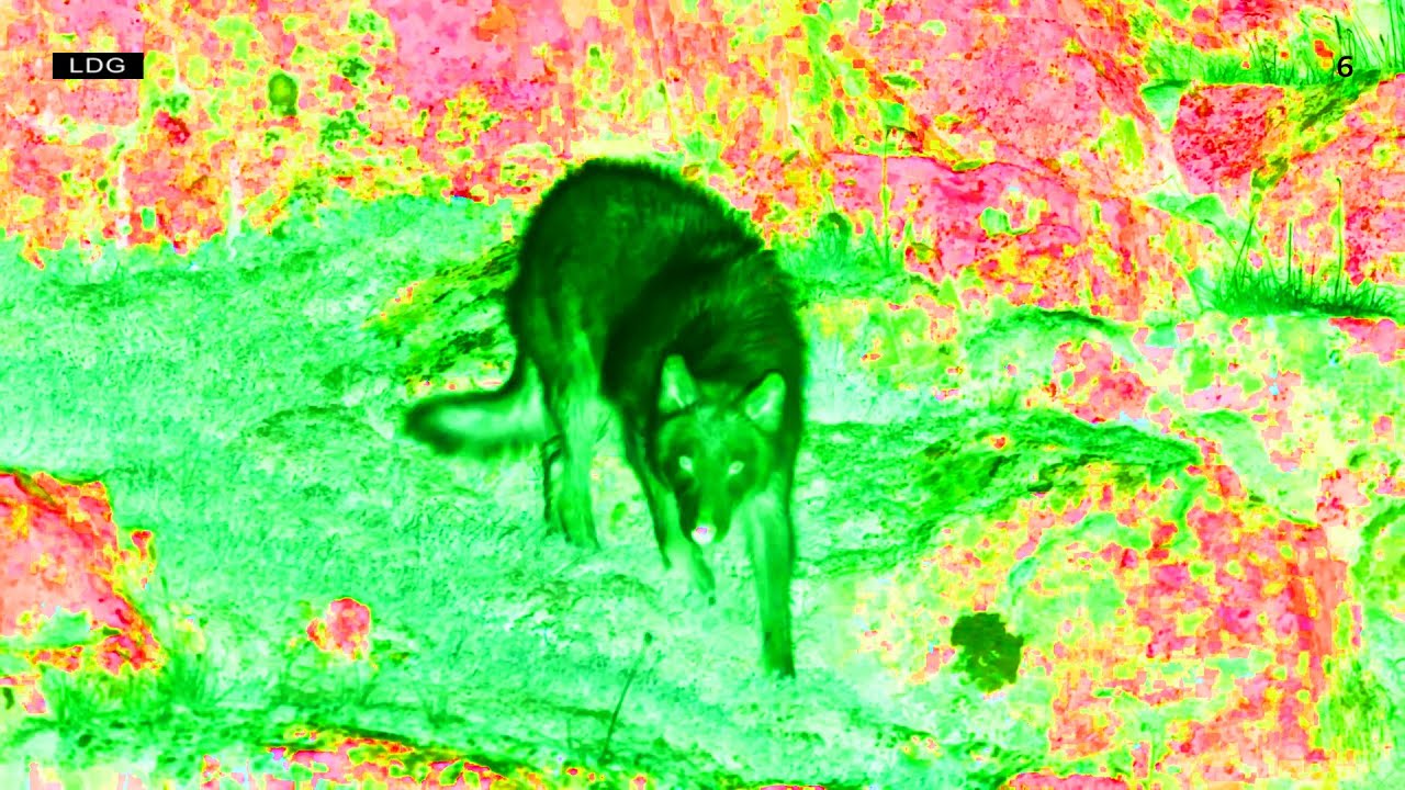 FUGE - M&Auml; OON (visualizer)