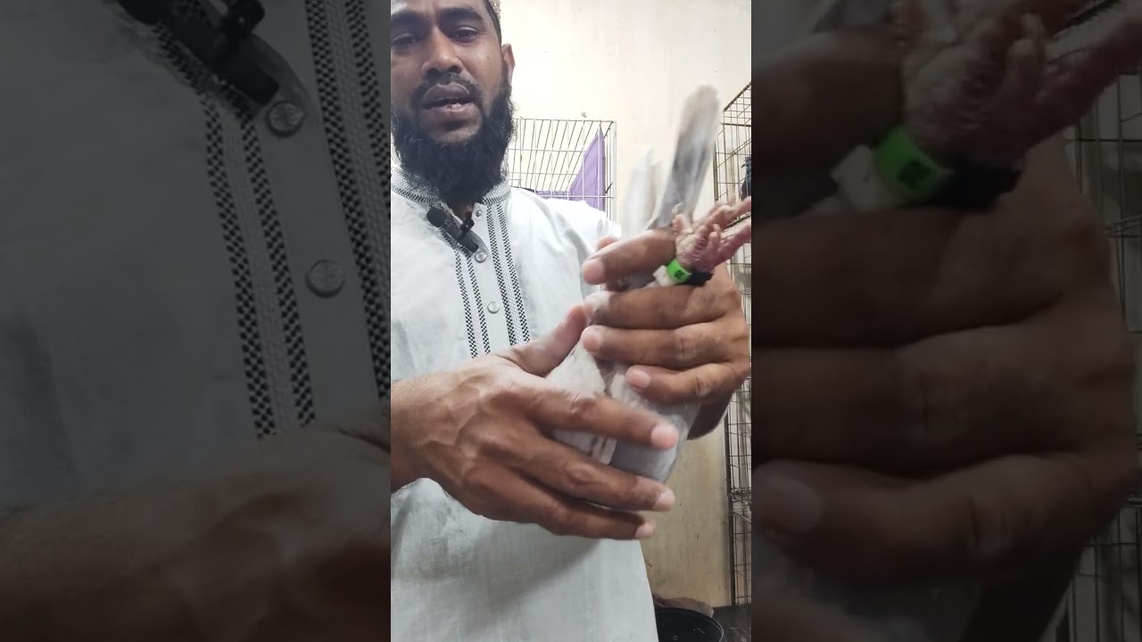 14/3/26 রমজান অফারের ষষ্ঠ পর্বে দেখুন। সব 1 পিস কালেকশন।☎️01682234365# ইনশাআল্লাহ 