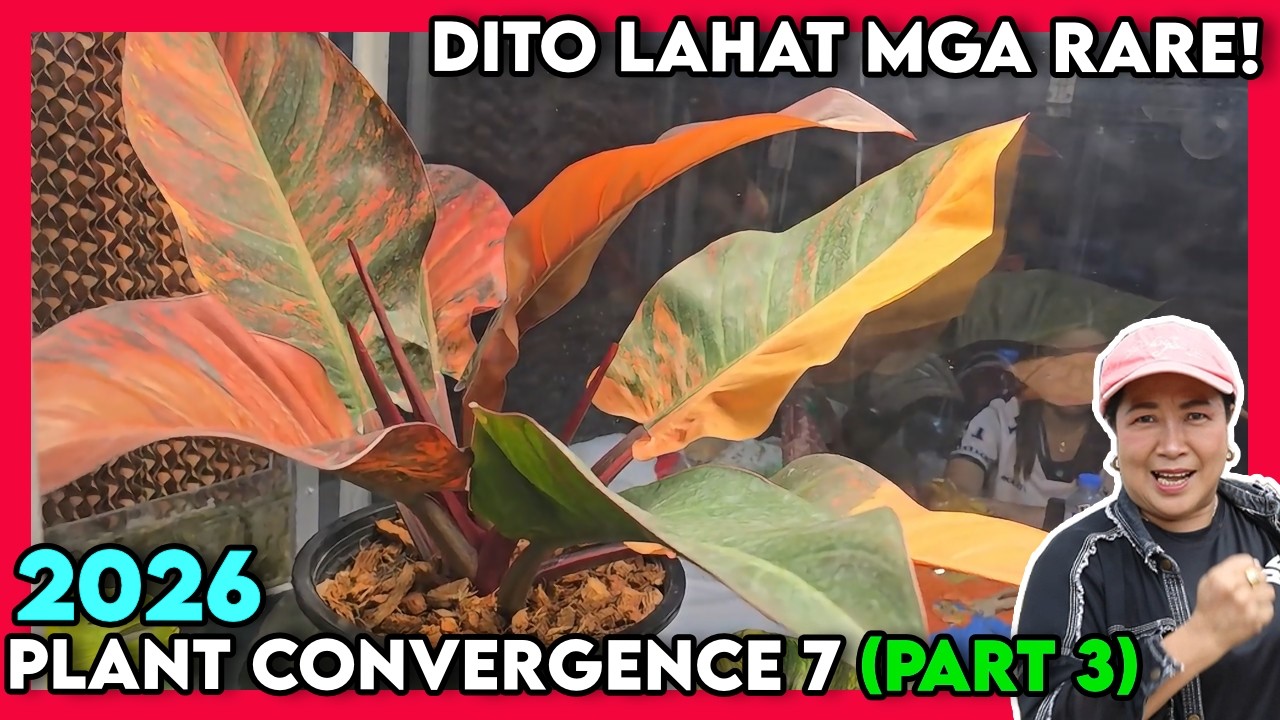 Plant Convergence 7 Expo @QCMC2026 - Part 3