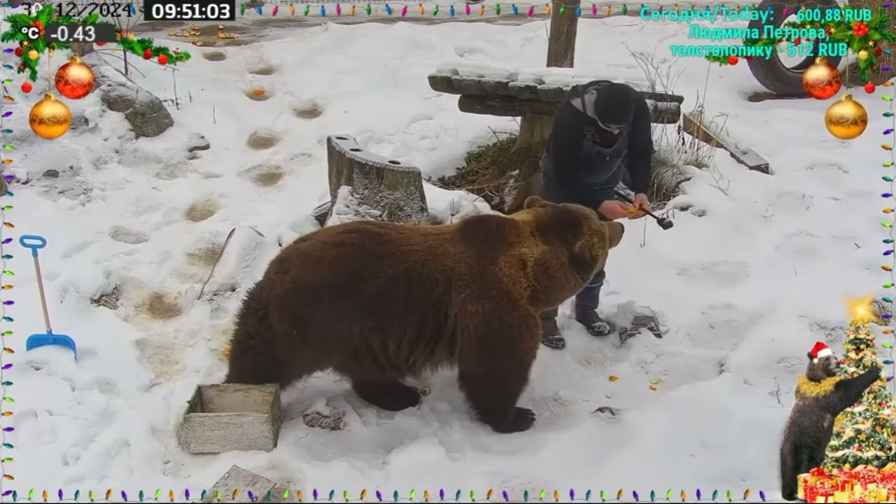 30.12.2024 09:49  Мансур принес мандаринку Андрею