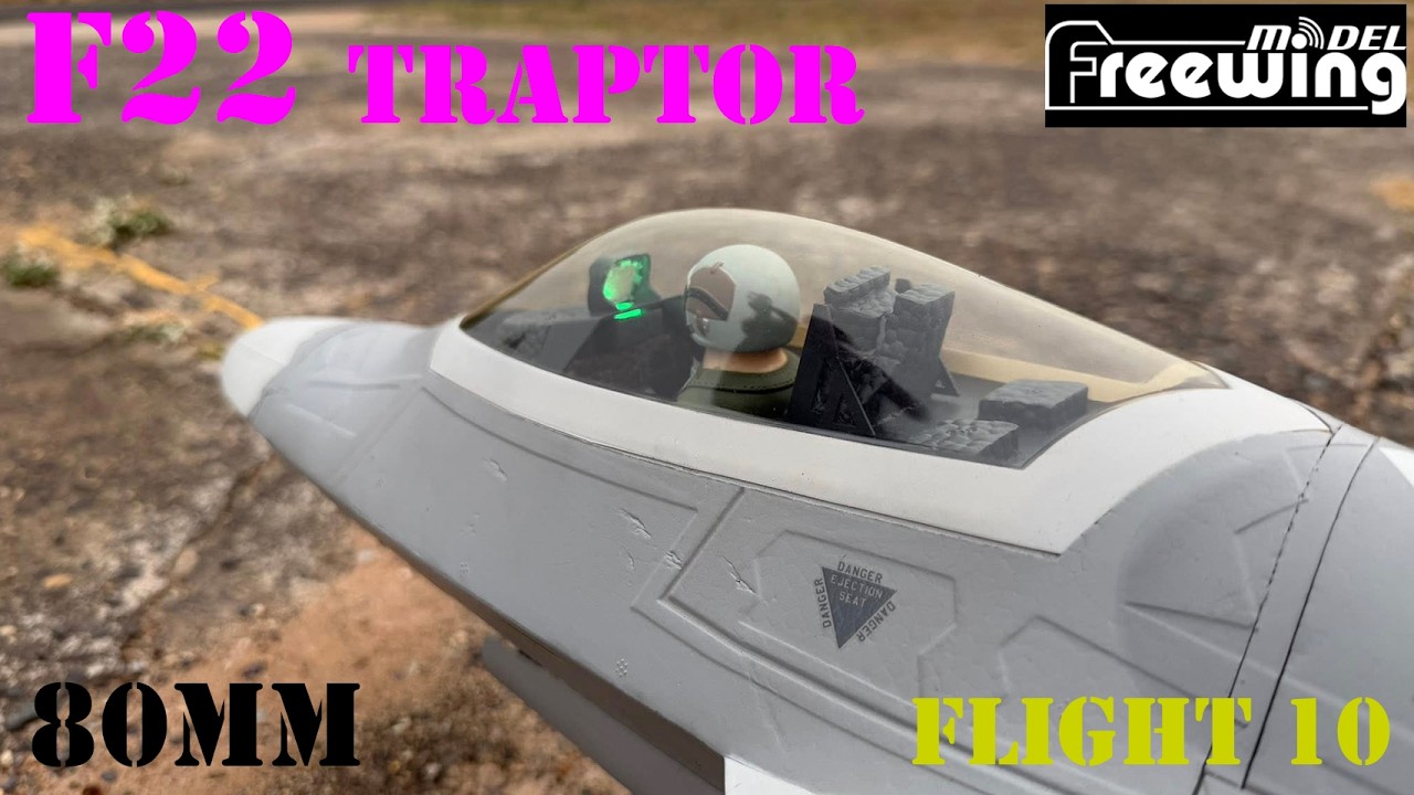 F22 Raptor 80mm Freewing Flight 10