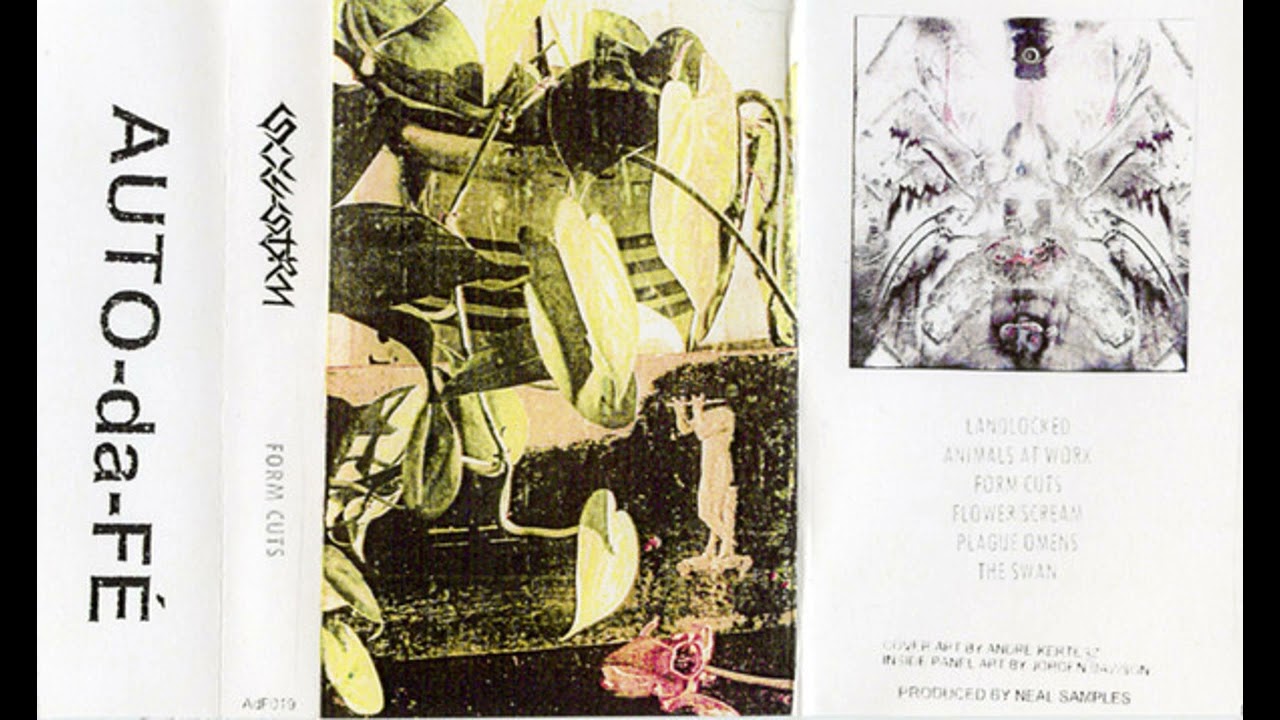 Soulstorm (US) - Form Cuts (Demo 2021)