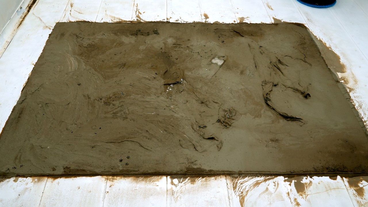 I Was Paid $500 To Clean This Royal Carpet! See The Luxurious Transformation - Satisfying Videos