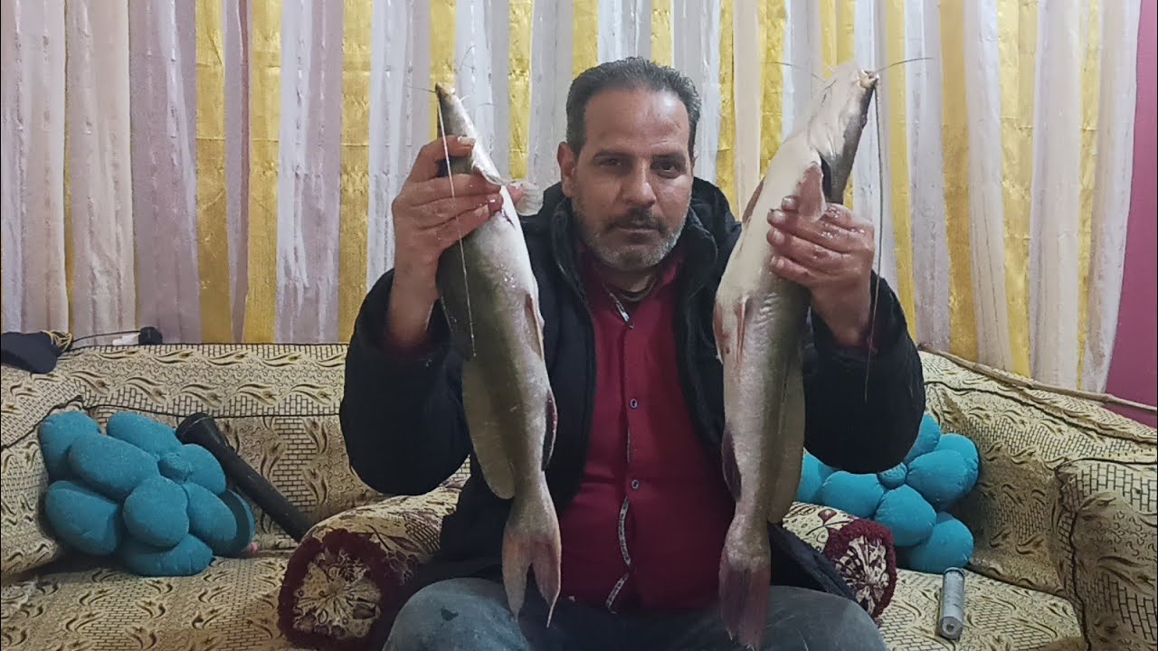 مشاهدة أسهل 👈طريقة صيد بياض في مصر👍 اصطدت 8 بياضات فى عز البرد 💪