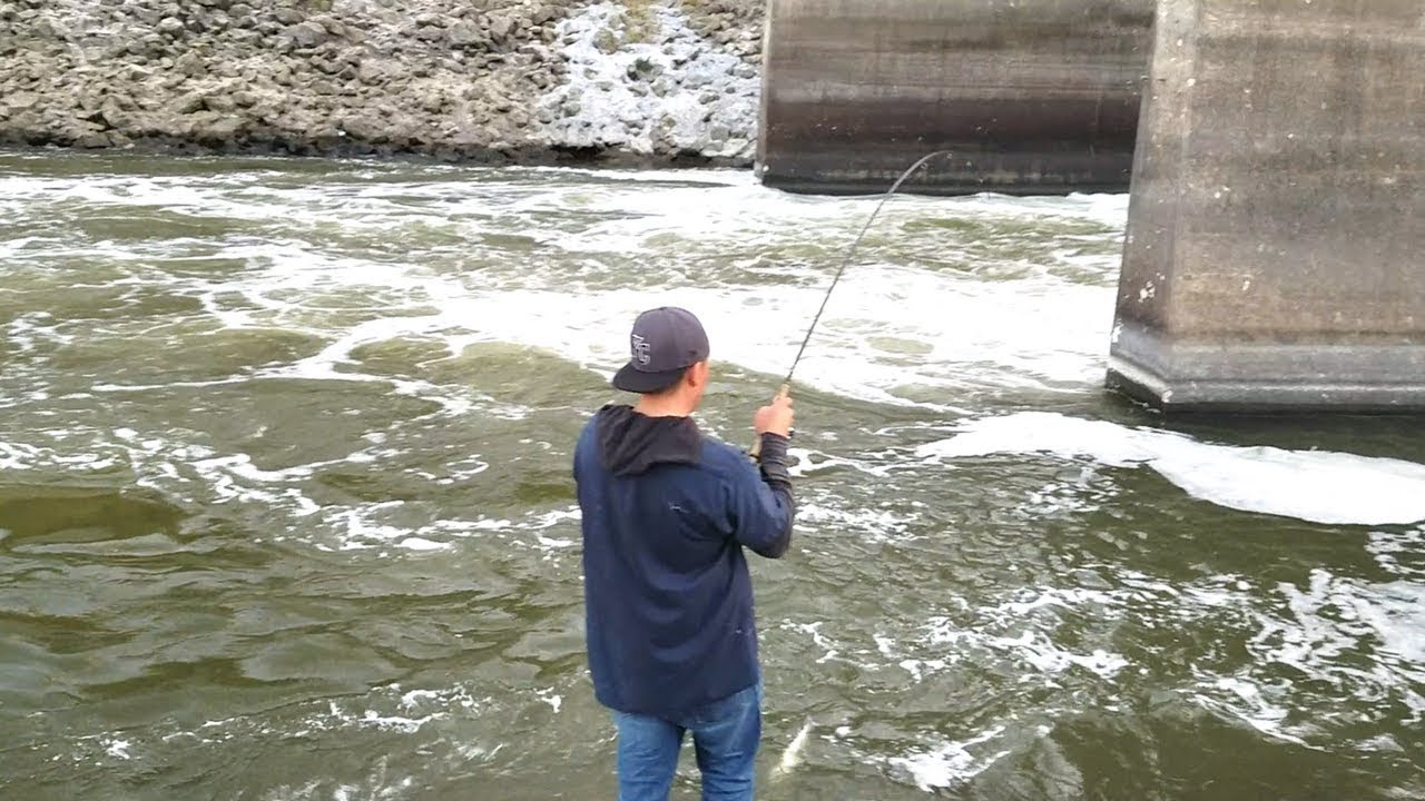 Wiper and Catfish Fishing in Spillway. EP 32