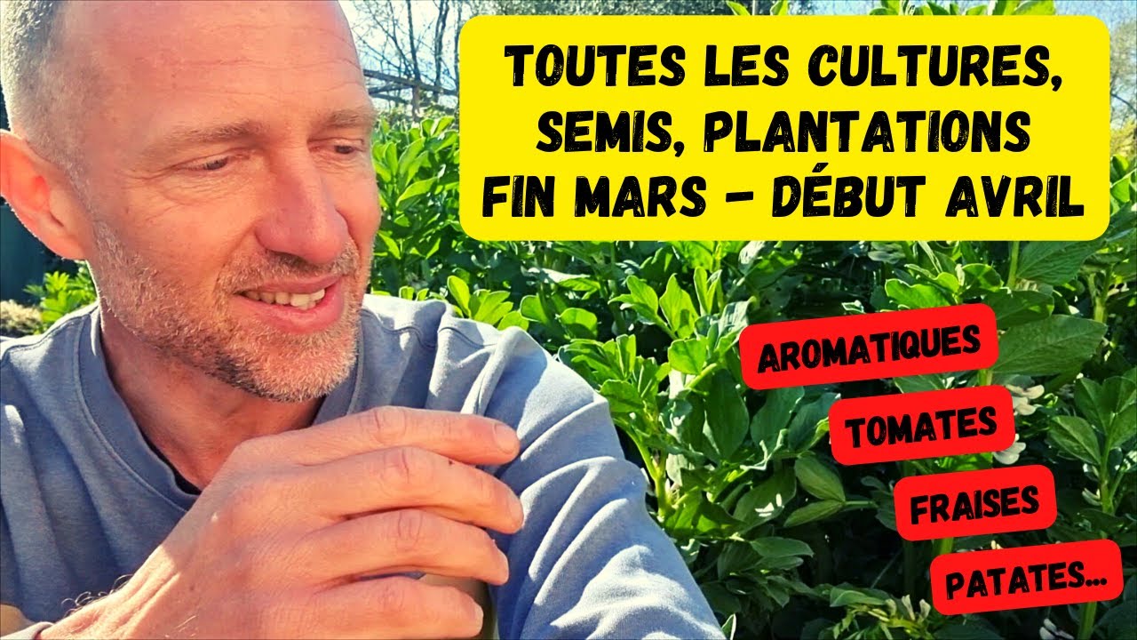 M&Eacute;GA-TOUR du potager fin mars 2023 ► Tomates, aromatiques, fraises, salades, patates... #potager