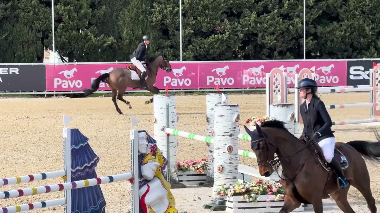 THELMA TER DOORN Z (Toulon / Sir Lui) - 2019 Mare - January 2026 - CSIYH Sunshine Tour 2