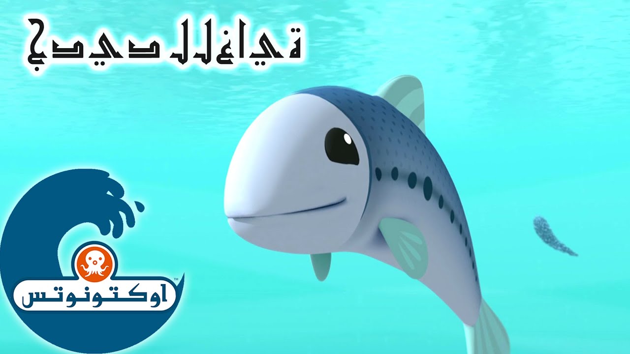 40 أوكتونوتس | سرب السردين | السلسلة 1 | الحلقة