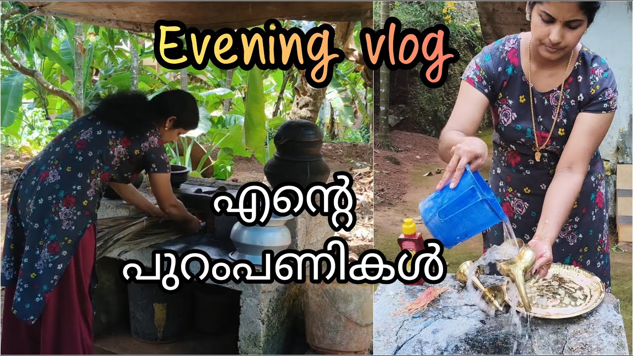 വൈകുനേരം ആയാലും പണിക്കൊരു  കുറവും ഇല്ല |EVENING VLOG
