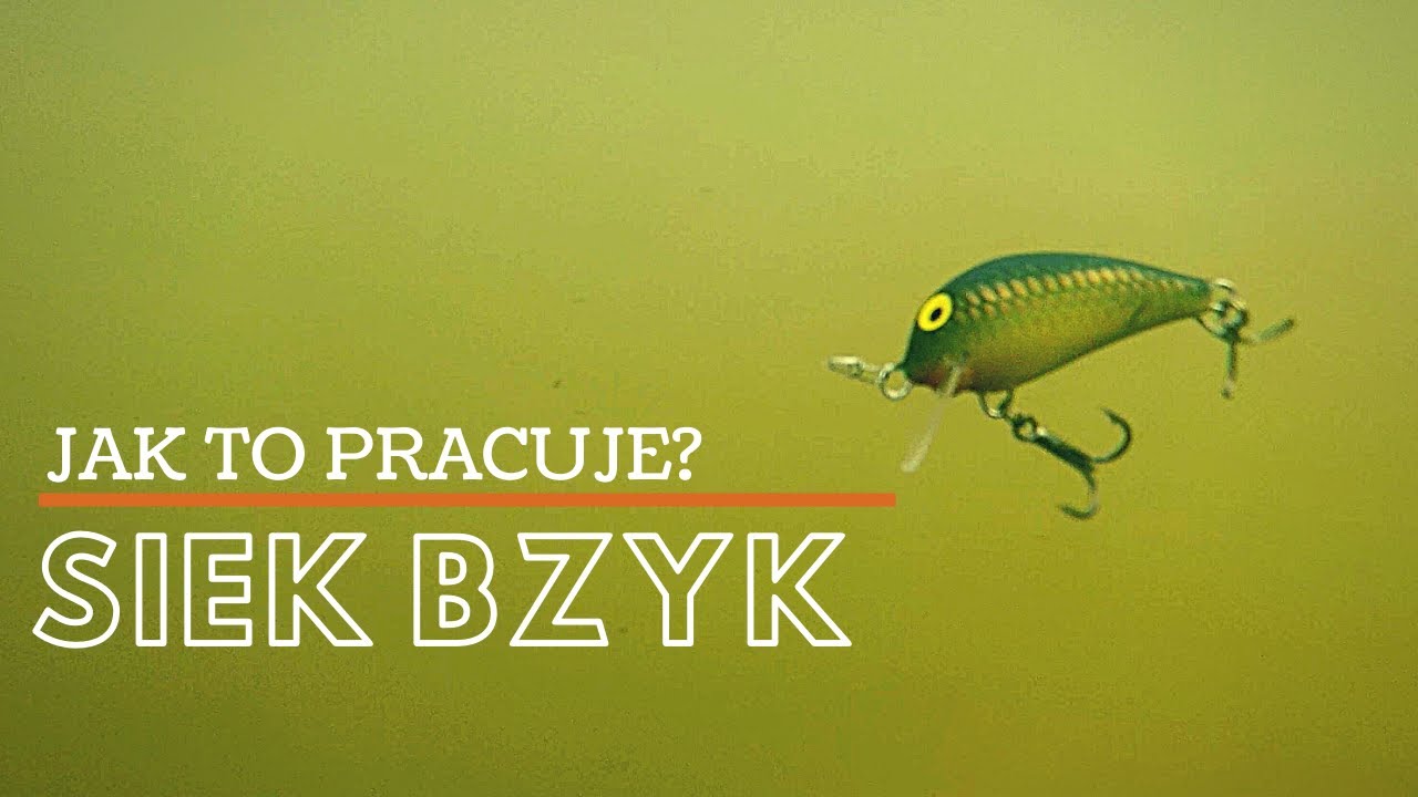 Siek Bzyk - praca woblera pod wodą - Jak To Pracuje?