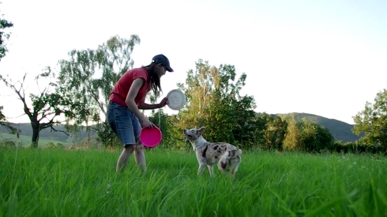 Aragorn & Legolas -  frisbee beginnings