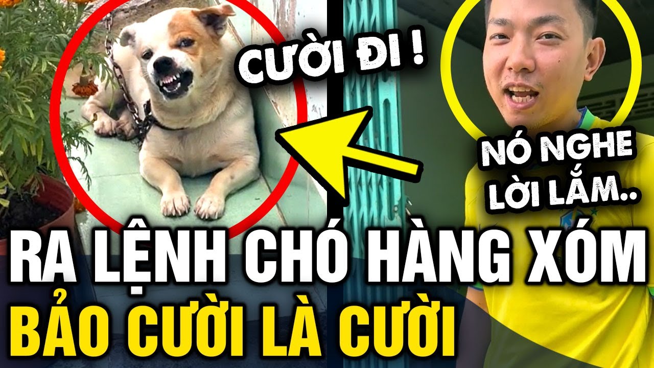 Khoe chó hàng xóm NGHE LỜI MÌNH, thanh niên biểu diễn xong mà ai cũng THẤY LO LO | Tin 3 Phút