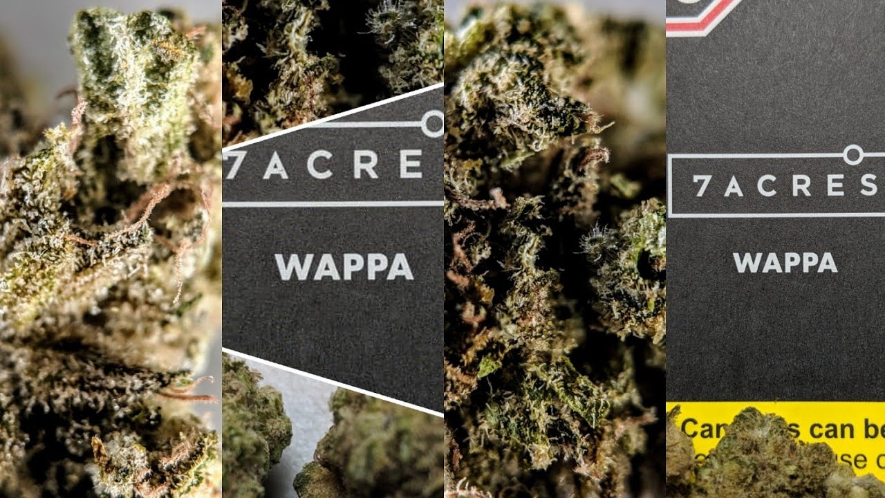 Canadian cannabis review 7 Acres Wappa
