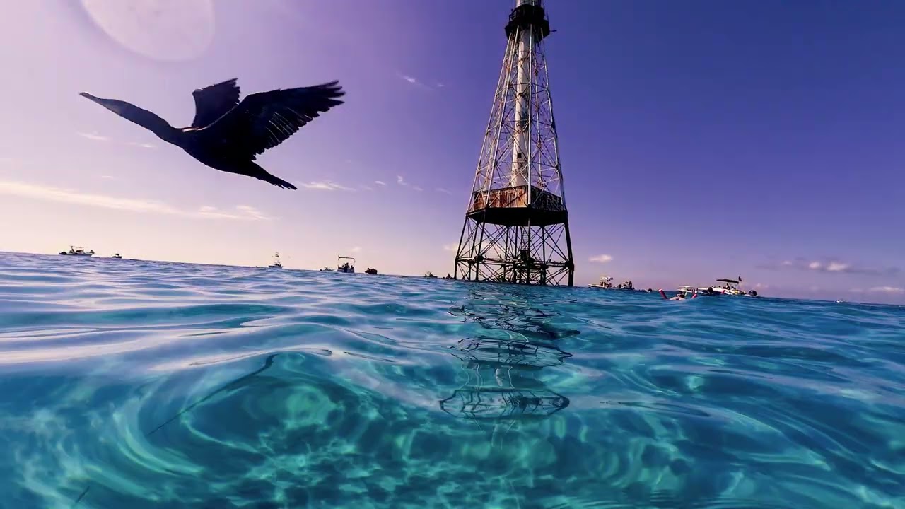 Islamorada Alligator Reef 