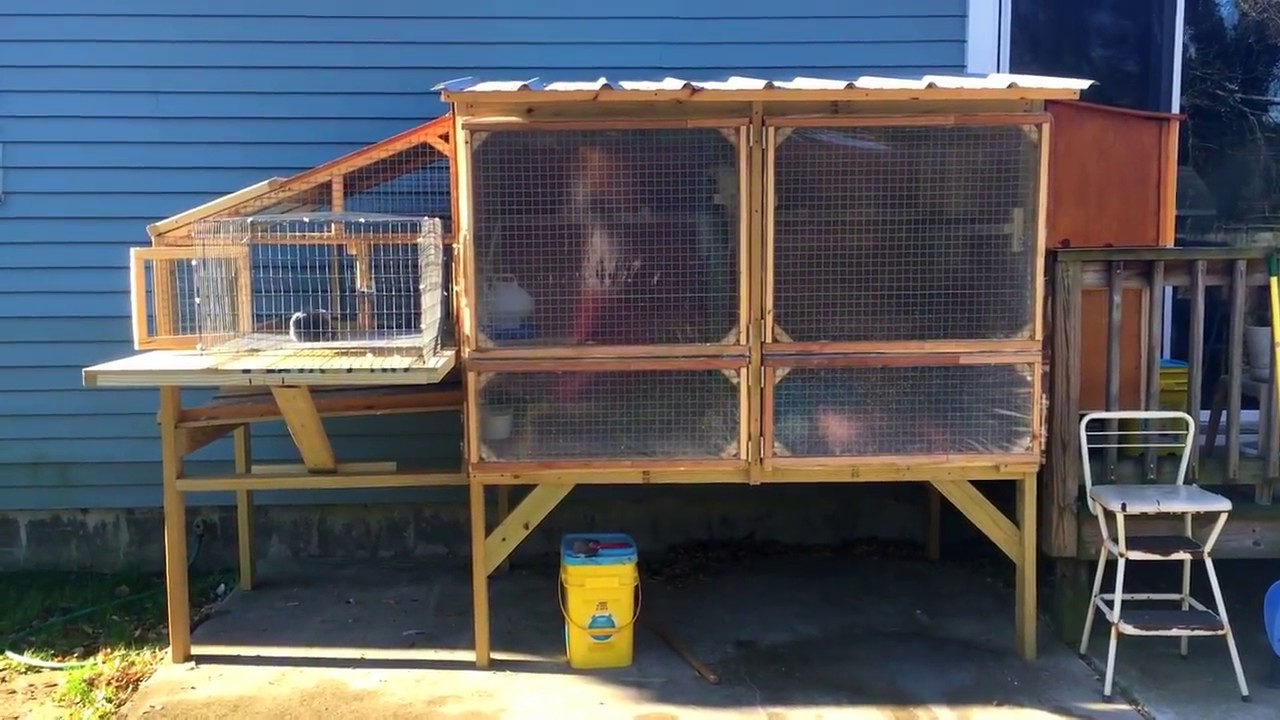 Small pigeon loft update