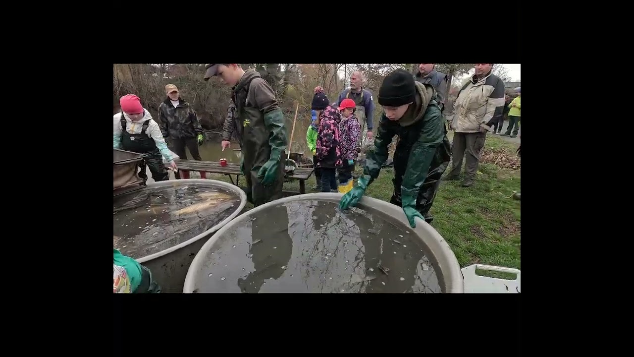 Výlov rybníku a násada velkých štik na zahajovačku