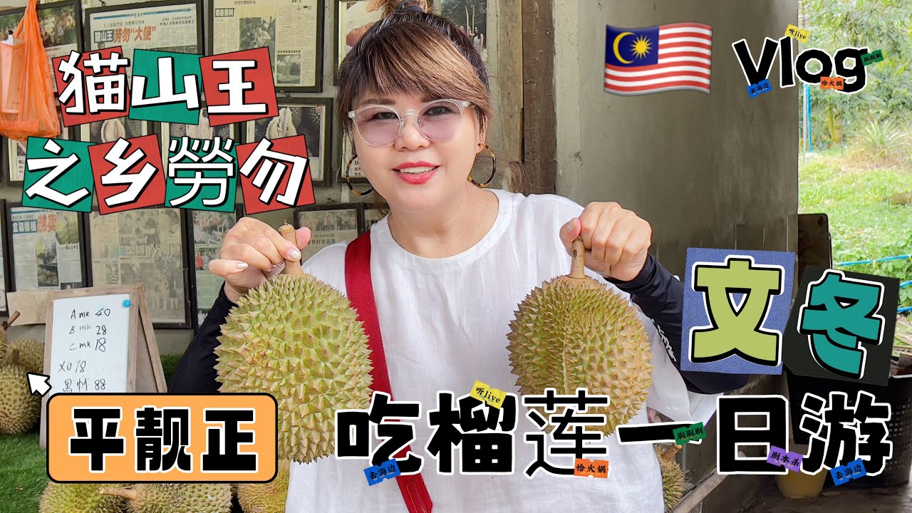 🇲🇾大馬榴槤季節 劳勿Raub貓山王榴連＂包吃＂爽爽＂￼士毛月榴連温泉一日遊＂過癮 #大馬貓山王之鄉 #Raub #猫山王榴莲#Musang king #Bentong #大馬美食  #大馬榴槤季節