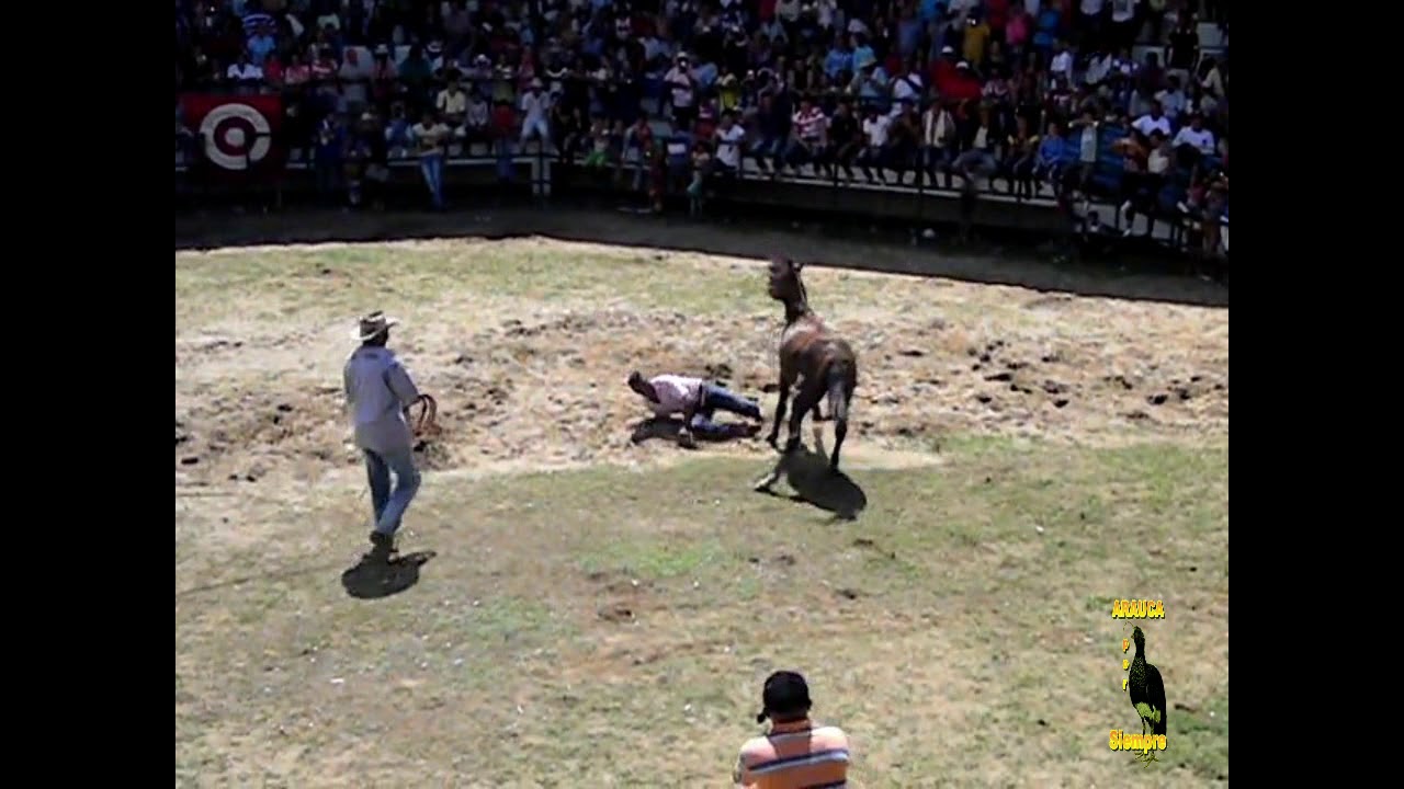 LLANERO AUTENTICO MONTA Y DOMA DE POTROS SALVAJES 2 2016