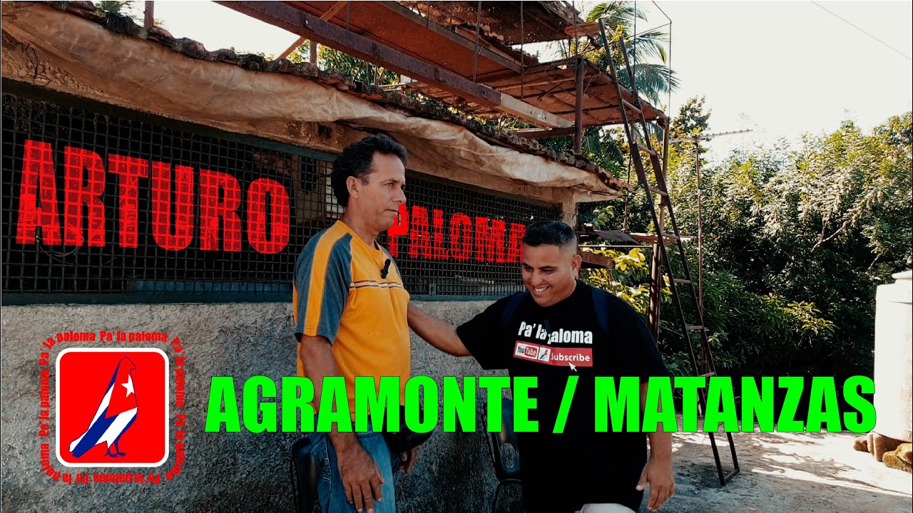 PALOMAR de CONQUISTA de ARTURO en AGRAMONTE, MATANZAS
