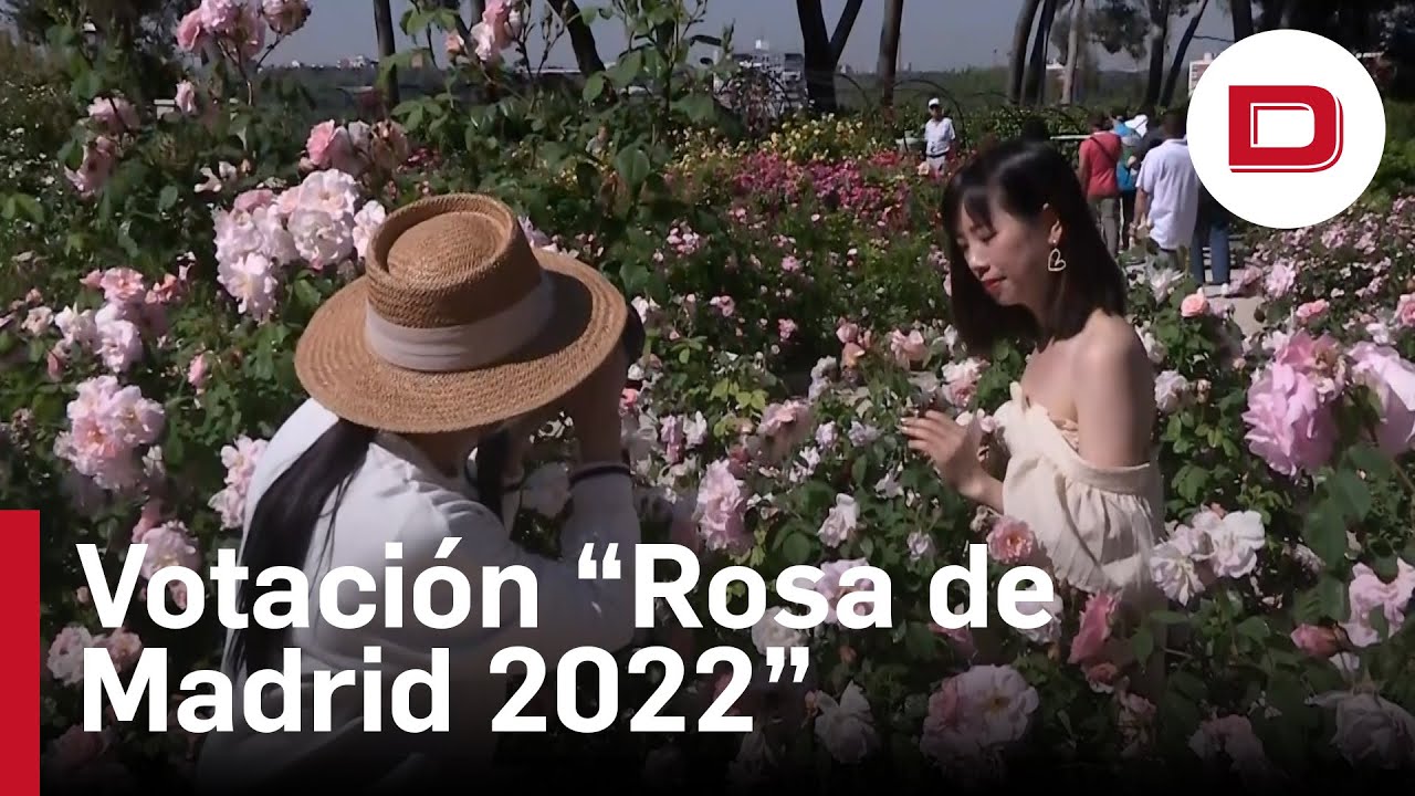 El Parque del Oeste abre la votaci&oacute;n a la 