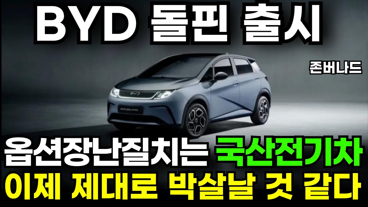 BYD 돌핀 2450만원 출시, 국산 전기차 옵션장난질안치고 가격인하할까? 가성비의 끝판왕 중국 전기차