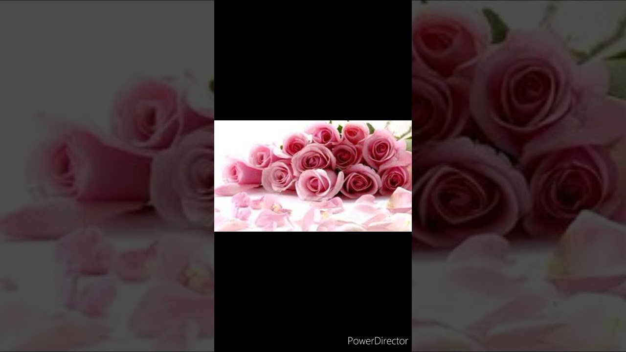 وسواس انتقال النجاسة . اسئة مهمة 1