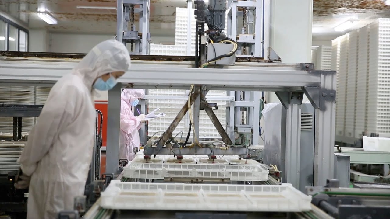 GLOBALink | Industrialized sericulture invigorates silk farming