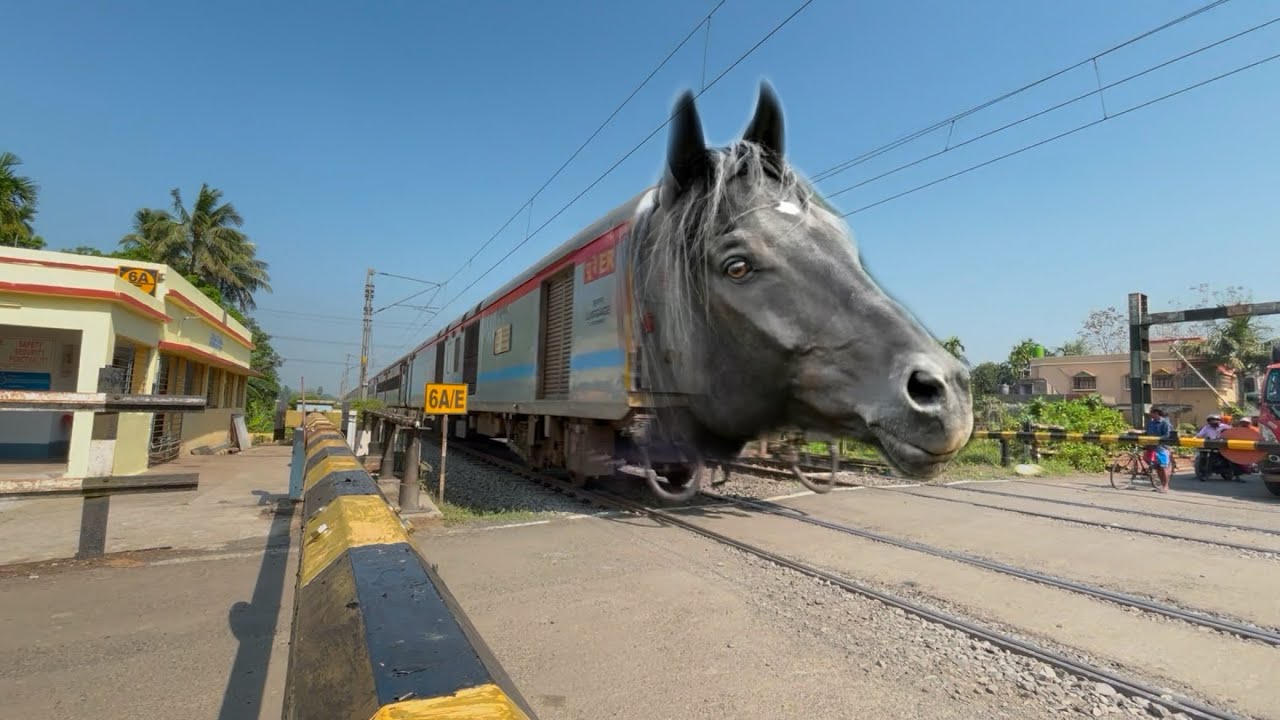 Dangerous Horse Tail Look Balurghat Express Furious Moving Throughout at Railgate Crossing 