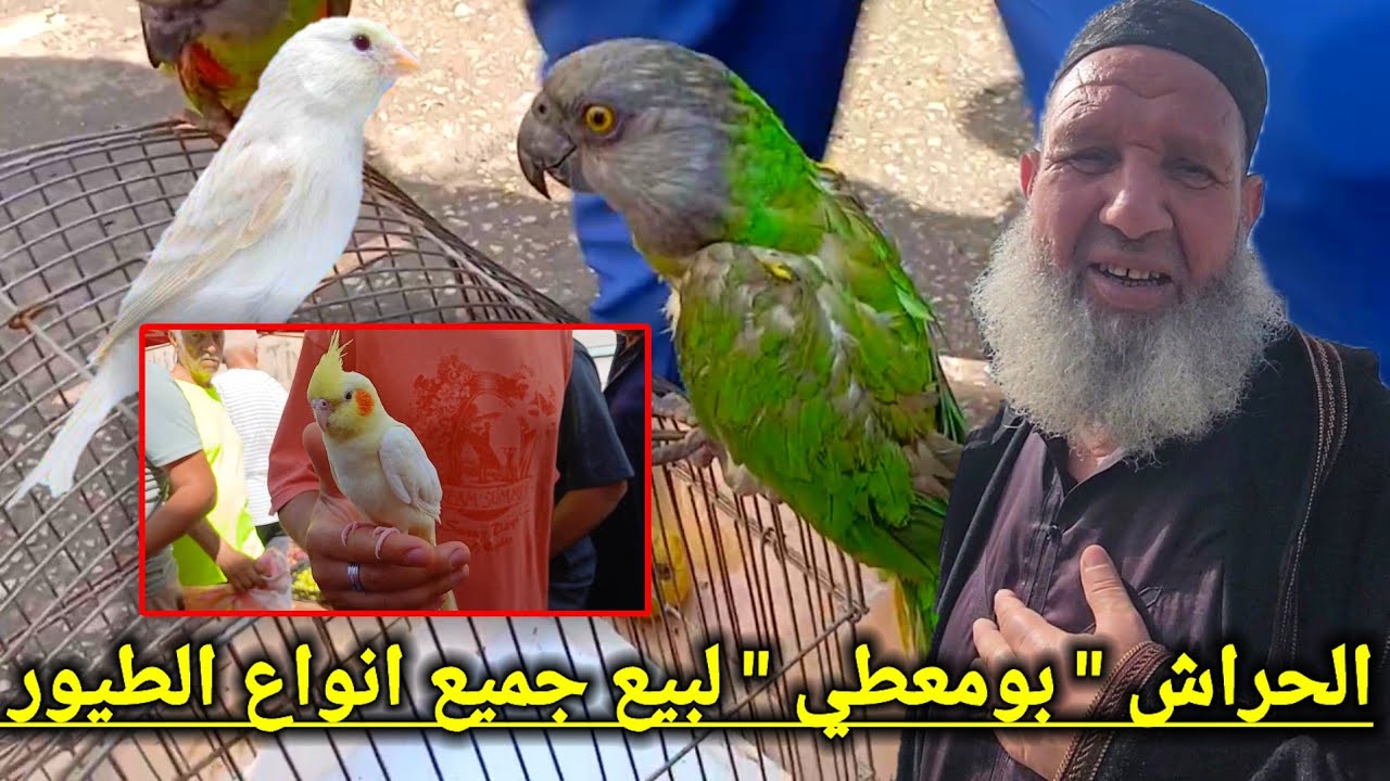 الحراش 