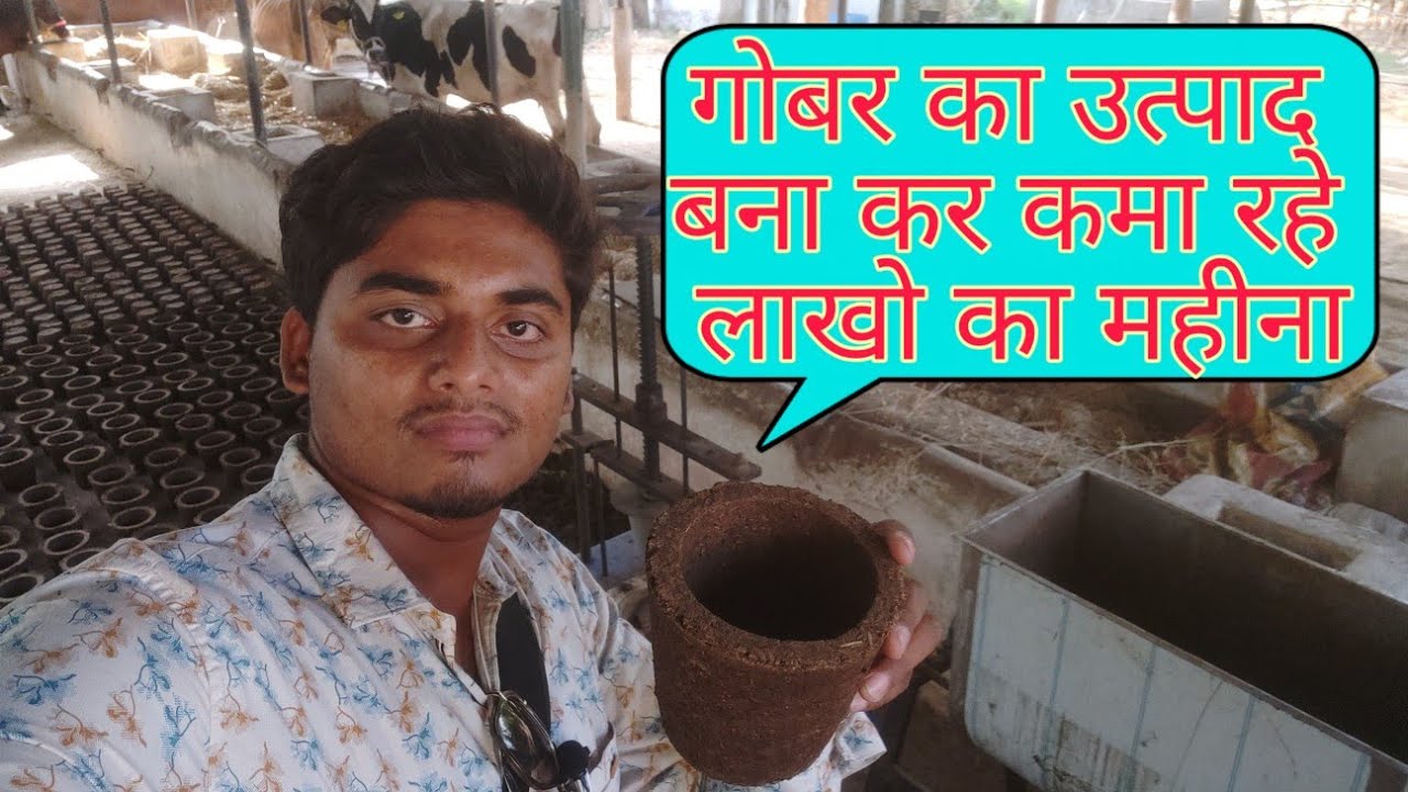 गोबर का बनाए ये उत्पाद और कमाए लाखो मेे//These products made of cow dung and earn millions
