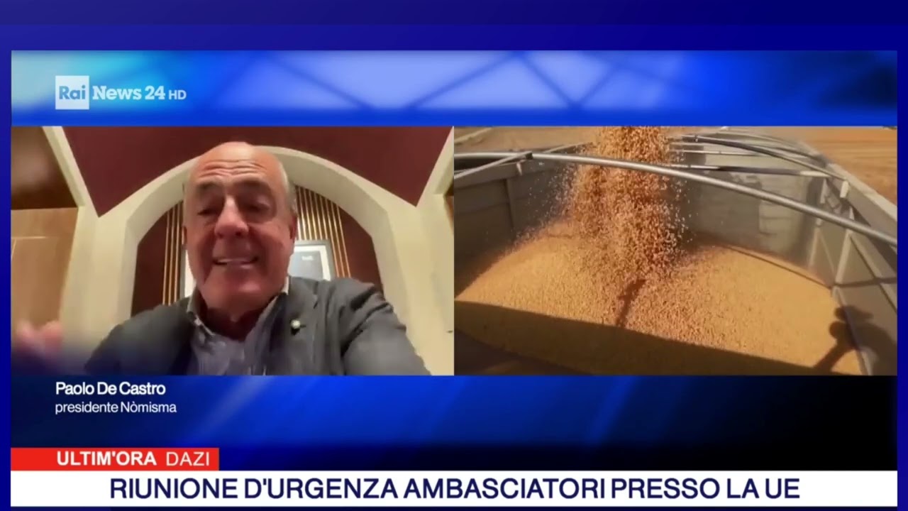 Paolo De Castro a rainews24
