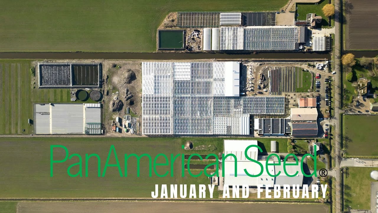 ▪️PanAmerican Seed January and February 2023