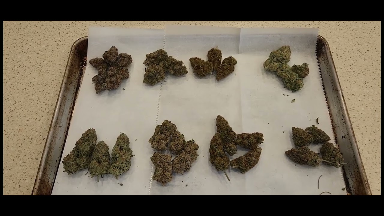 2022  Mars Hydro FC-E8000 SP3000 Harvest Update and Restart