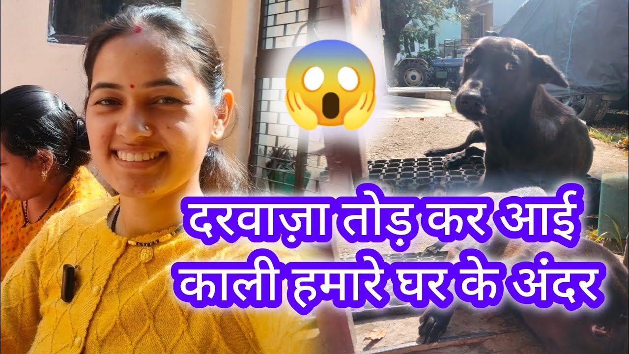 दरवाज़ा तोड़ कर आई काली हमारे घर के अंदर😱😰@Lakshmi_sumit_bisht213 #ramnagar #uttarakhand #delyvlogs
