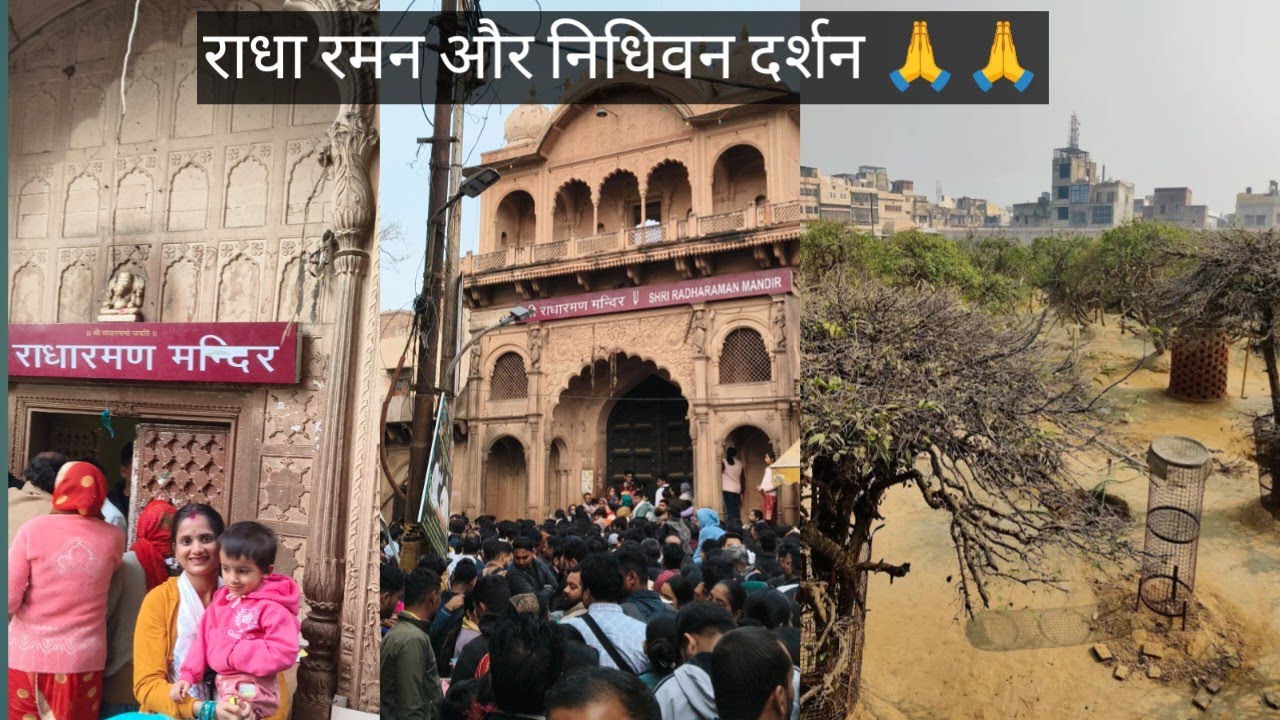 Part2 virndavan राधा रमन और निधिवन दर्शन श्री राधे श्री हरिवंश श्री  radha raman nidhivan darshan 🙏