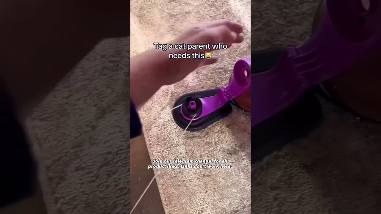 Interactive Cat Toy Treadmill 🐱 Fun, Active & Mentally Stimulating Play #PetToy #CatLovers