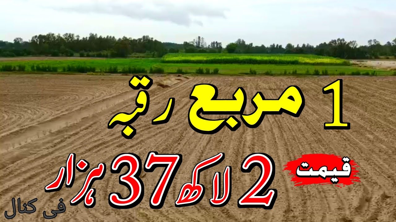 1 Murabah Agriculture Land for Sale | Land for Sale in Punjab Pakistan | Episode 141