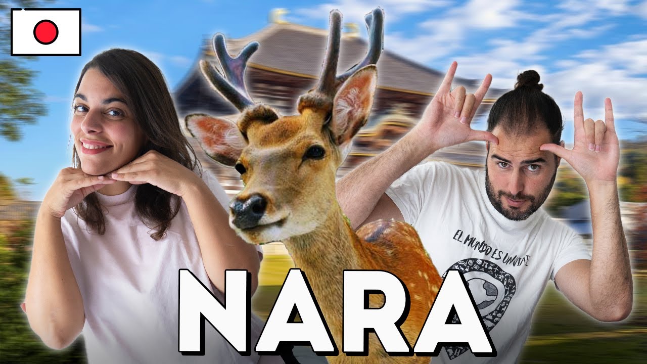QUÉ VER en NARA en 1 DÍA 🦌 CIERVOS del PARQUE de NARA 🇯🇵 Guía de Japón #26
