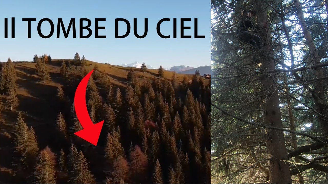J'ai perdu mon drone MAVIC MINI ! (et Dji m'en a refilé un)