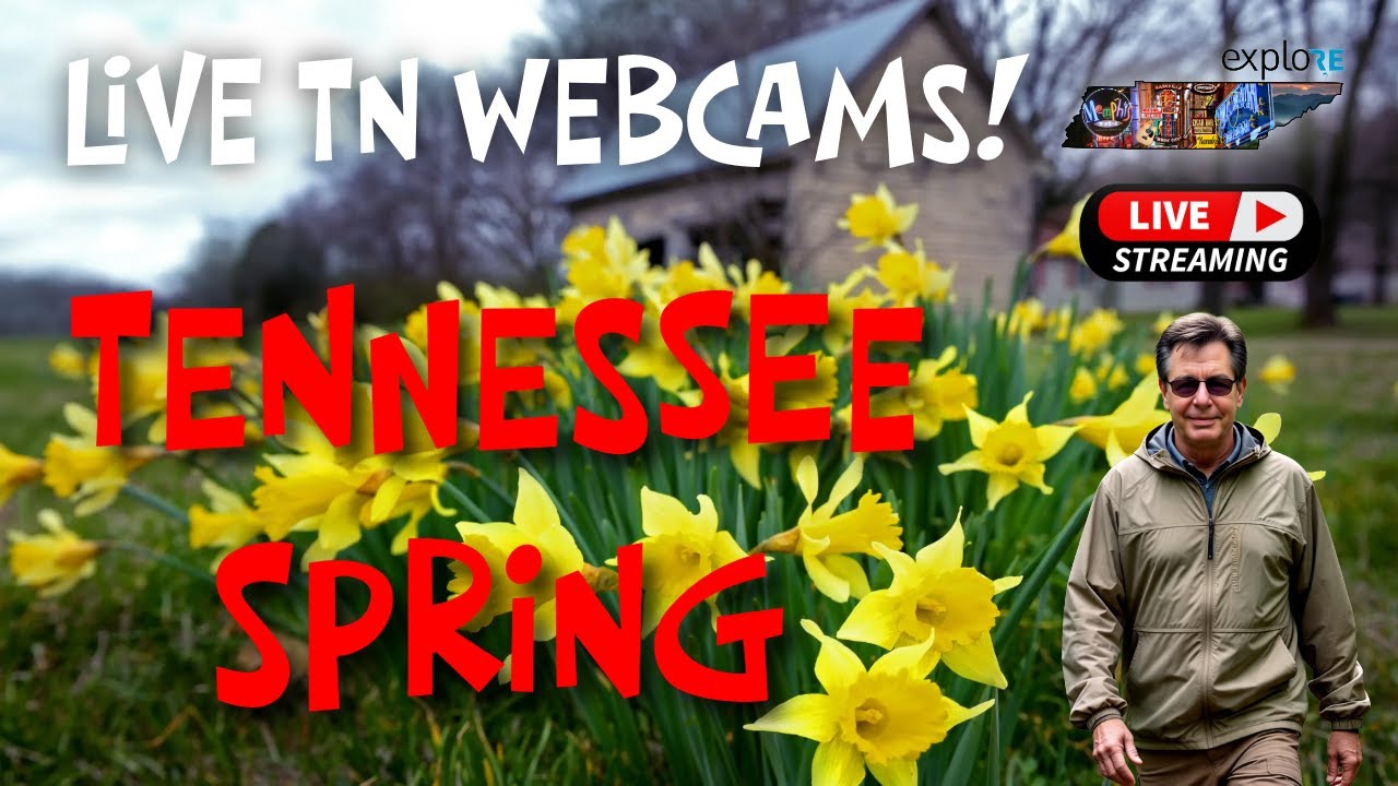 LIVE Webcams in the Smokies! - Explore Tennessee