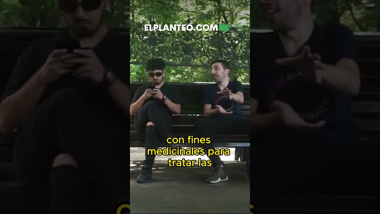 🇦🇷🌱 Argentinos en Ucrania: Kiev y la Marihuana #shorts