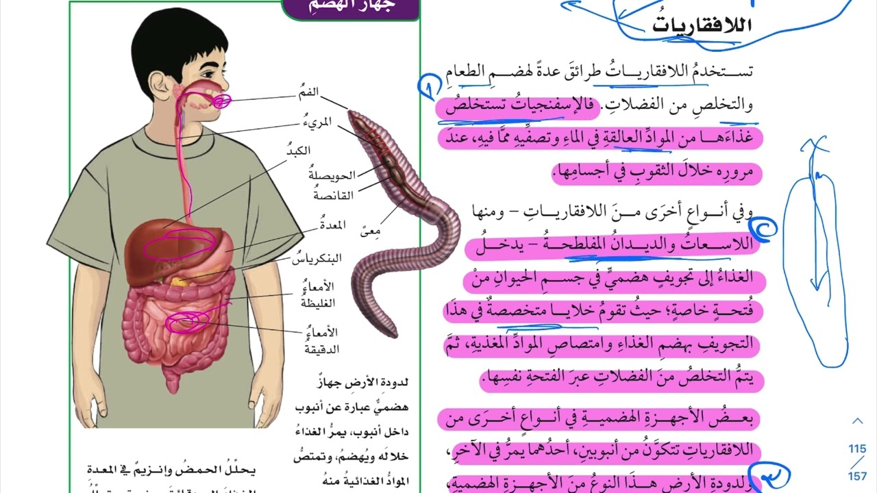 شرح درس الهضم والإخراج والتنفس والدوران ١ علوم سادس ابتدائي