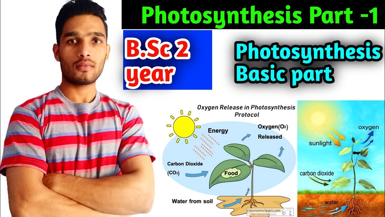 Photosynthesis part-1|| B.Sc 2 year Plant physiology