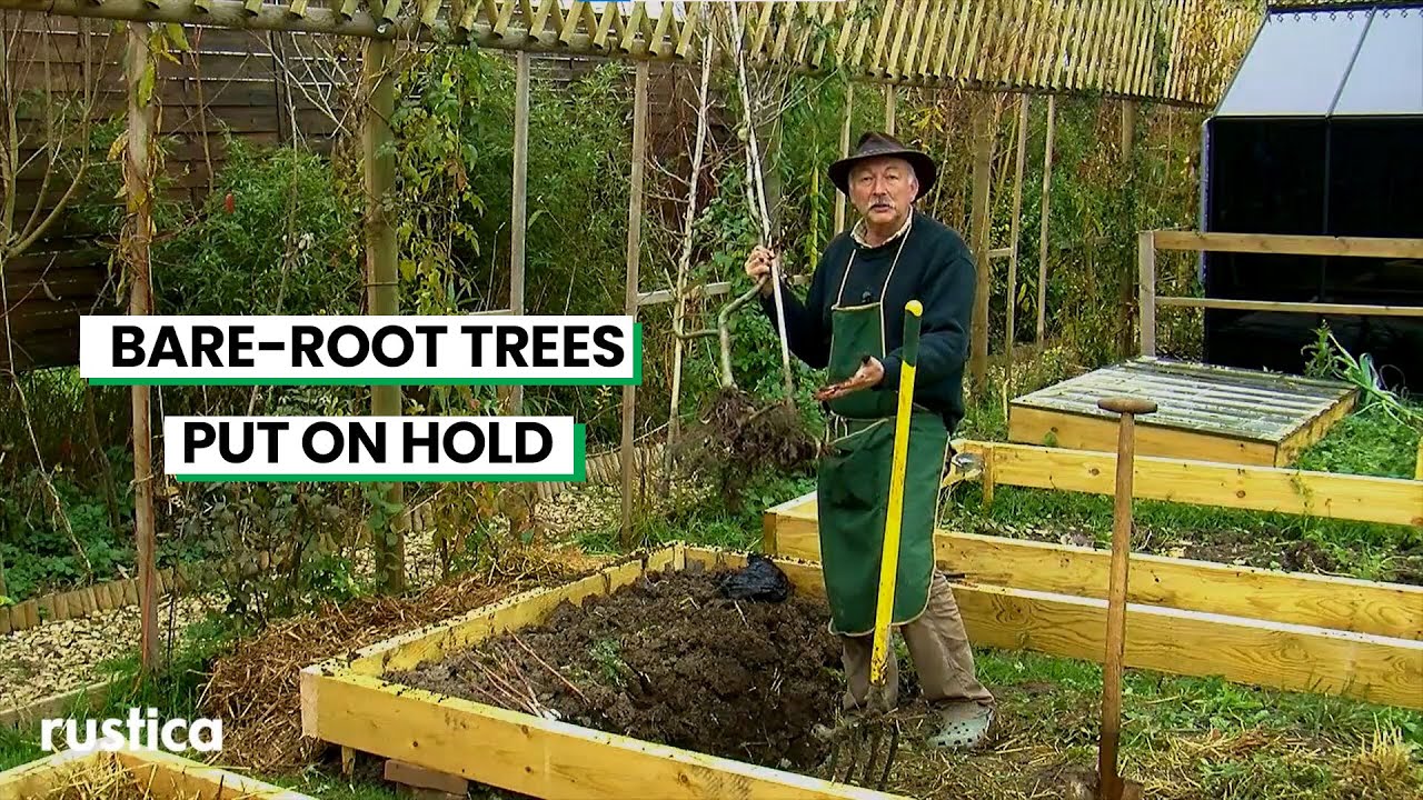 Protect Bare-Root Plants with Proper Heeling-In! 🌱❄️